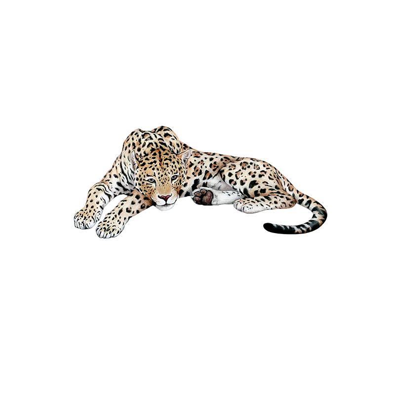[SA-495] Jaguar Stock Art