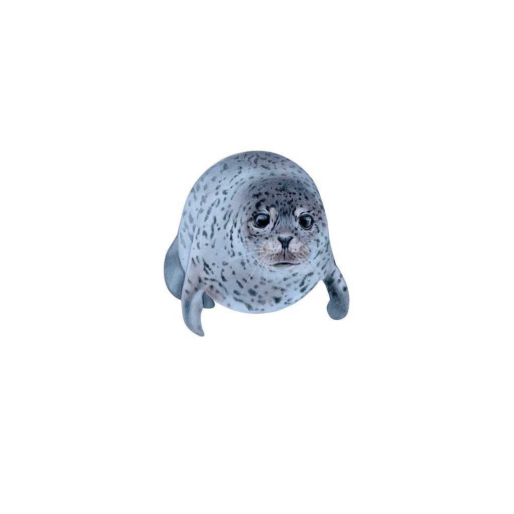 [522-MGL] Spotted Seal Laser Magnet