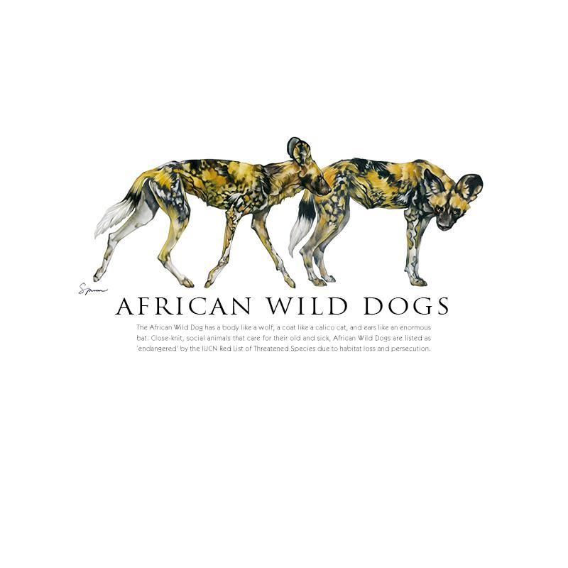 [SA-546] Wild Dog Duo Stock Art