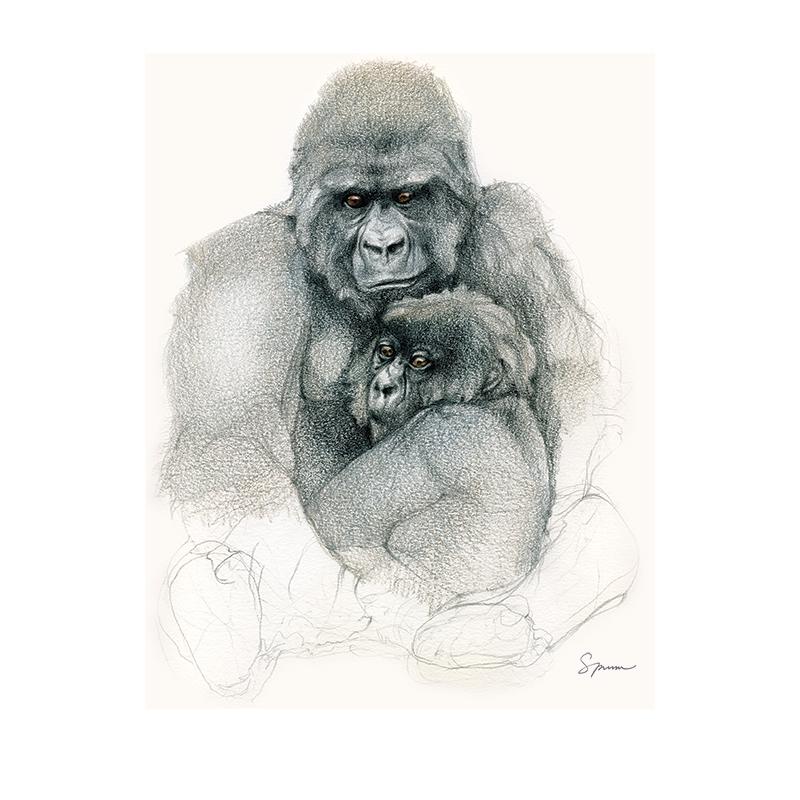 [SA-577] Mountain Gorilla Duo 1 Stock Art