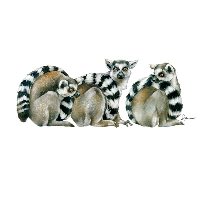 [SA-587] Ring Tail Lemur Trio Stock Art