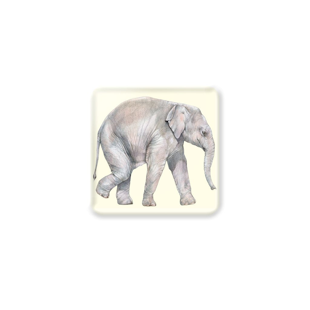[CST-606] Asian Elephant Calf Coasters