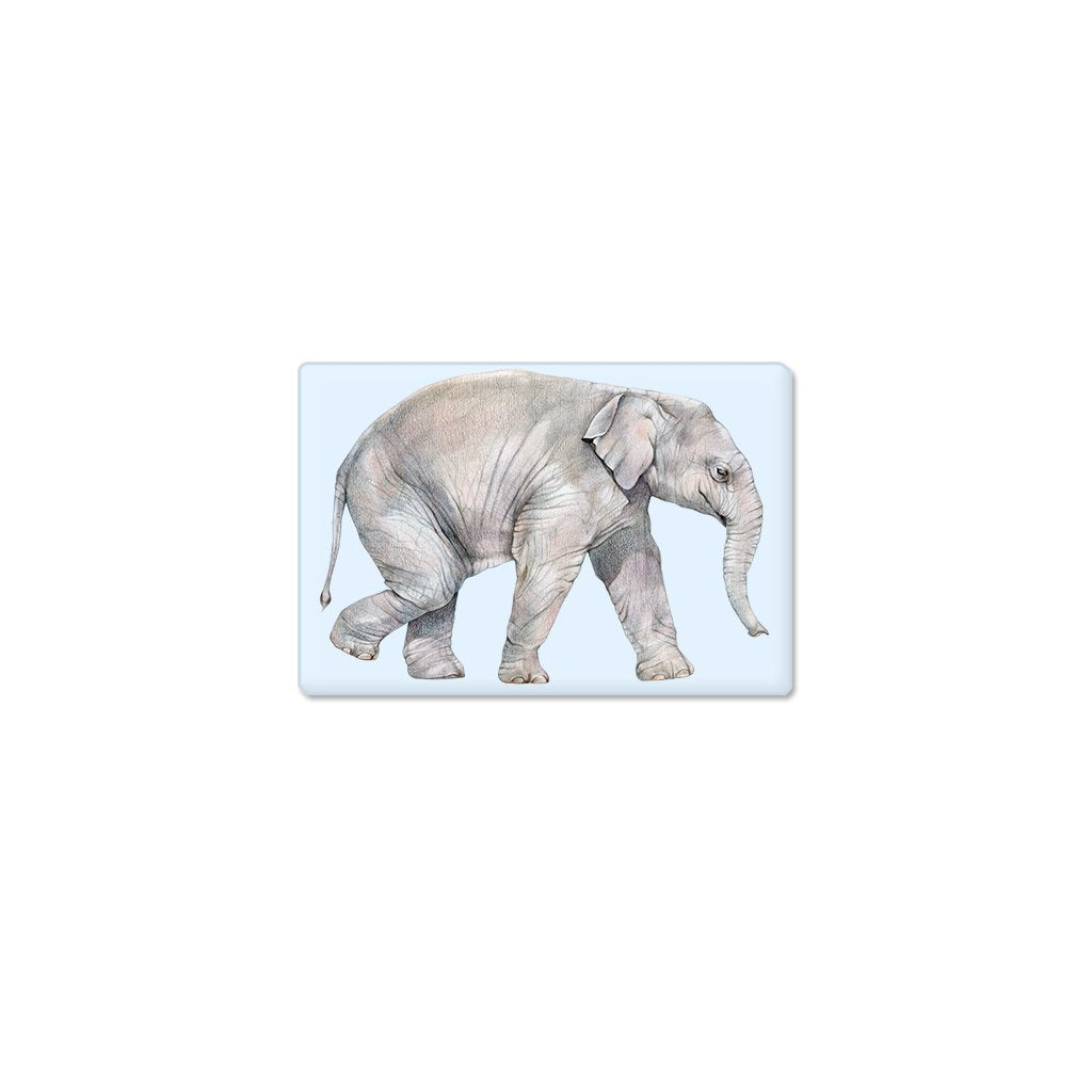 [606-SM] Asian Elephant Calf Single Magnet