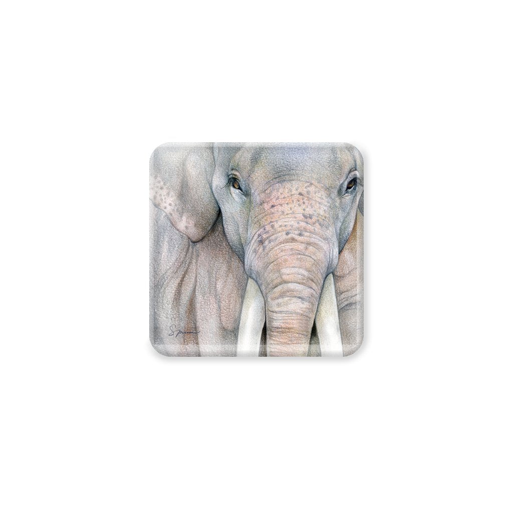 [CST-608] Asian Elephant Bull Coasters