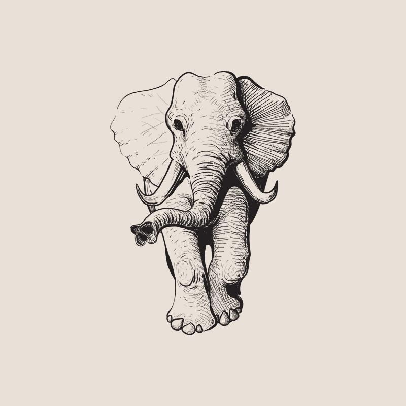 [SA-610] Asian Elephant Calf Sketch Stock Art*