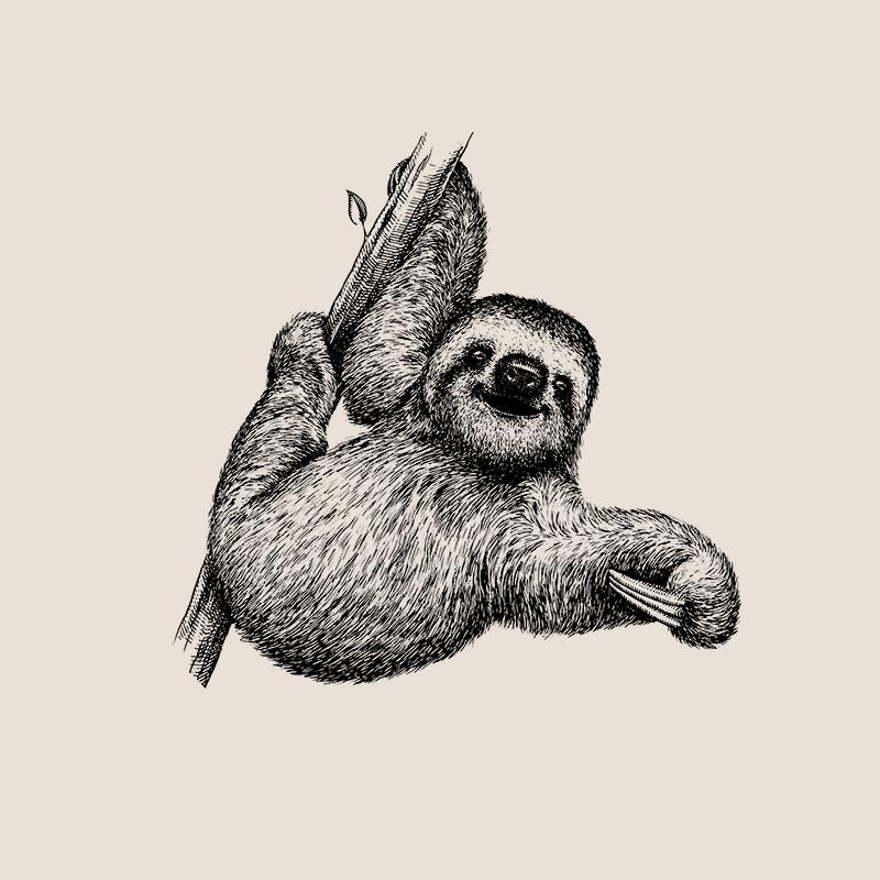[SA-625] Three Toed Sloth Sketch Stock Art*