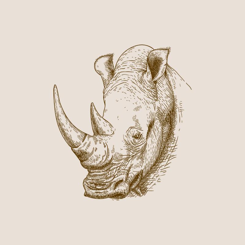 [SA-635] White Rhino Sketch Stock Art*