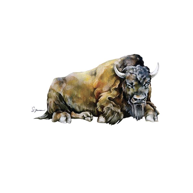 [SA-640] Bison Stock Art