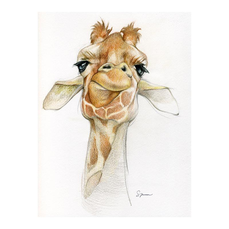 [SA-650] Giraffe Portrait Stock Art