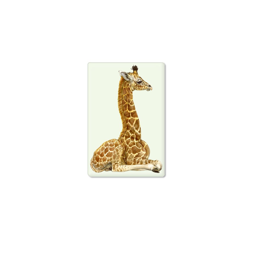 [651-SM] Giraffe Calf Single Magnet
