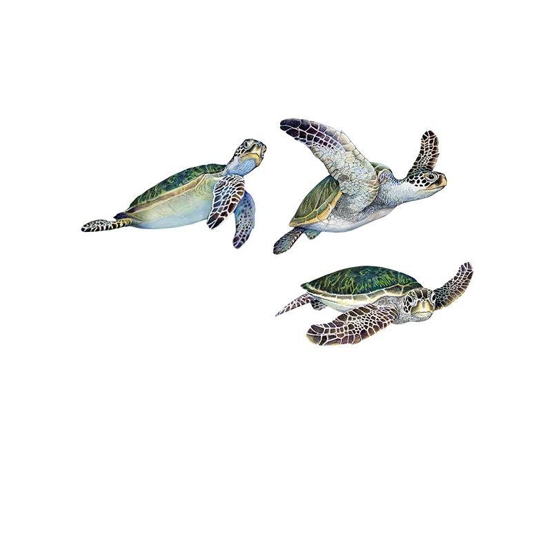 [SA-731] Green Sea Turtles 1 Stock Art