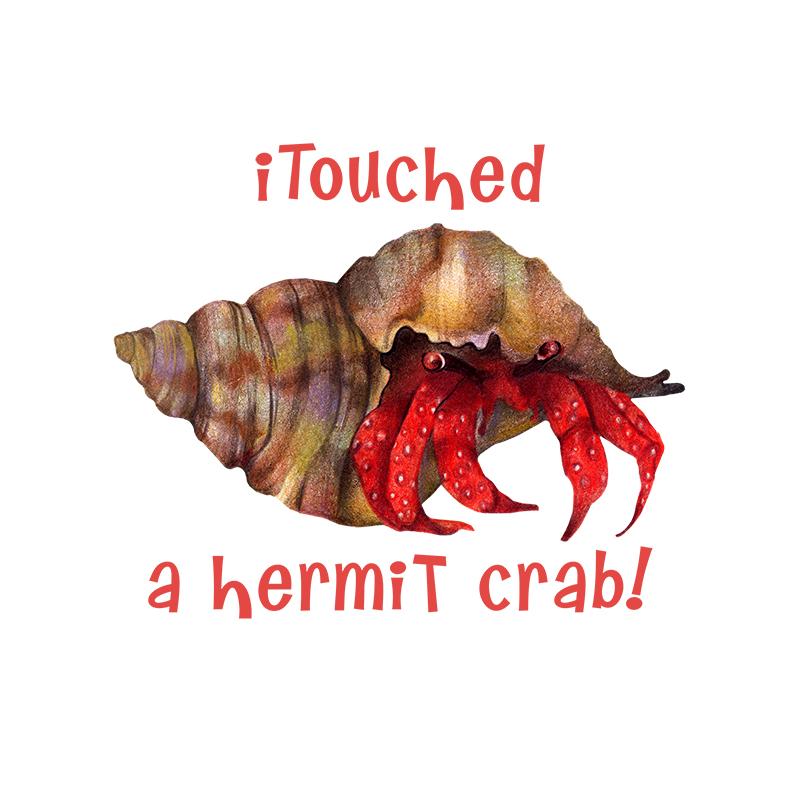[SA-925] I Touched Hermit Crab Stock Art
