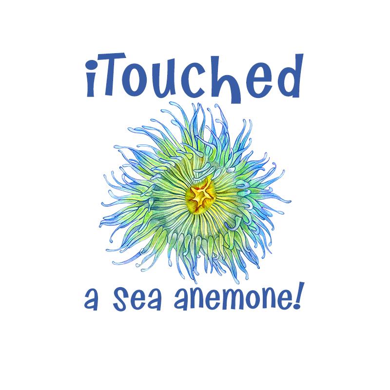 [SA-926] I Touched Anemone Stock Art