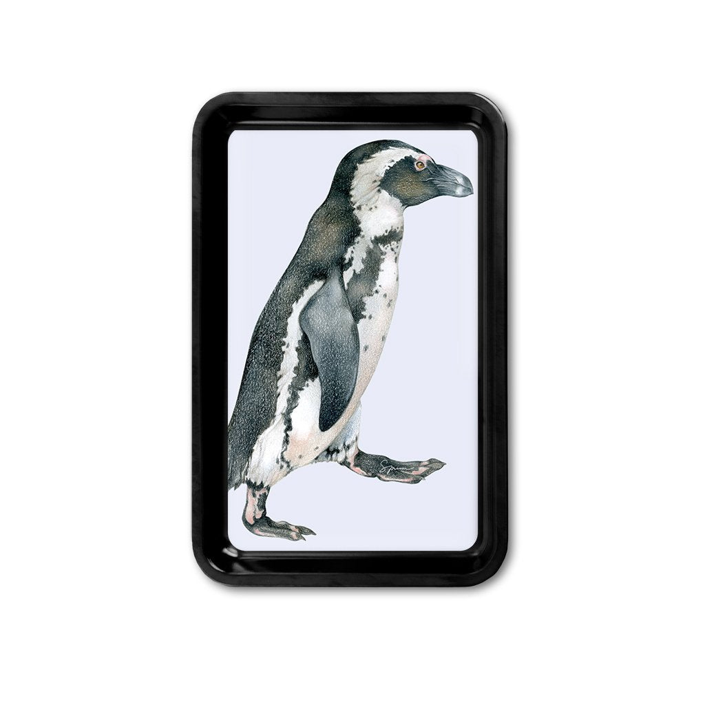 [TRY-162] African Penguin Retro Tray