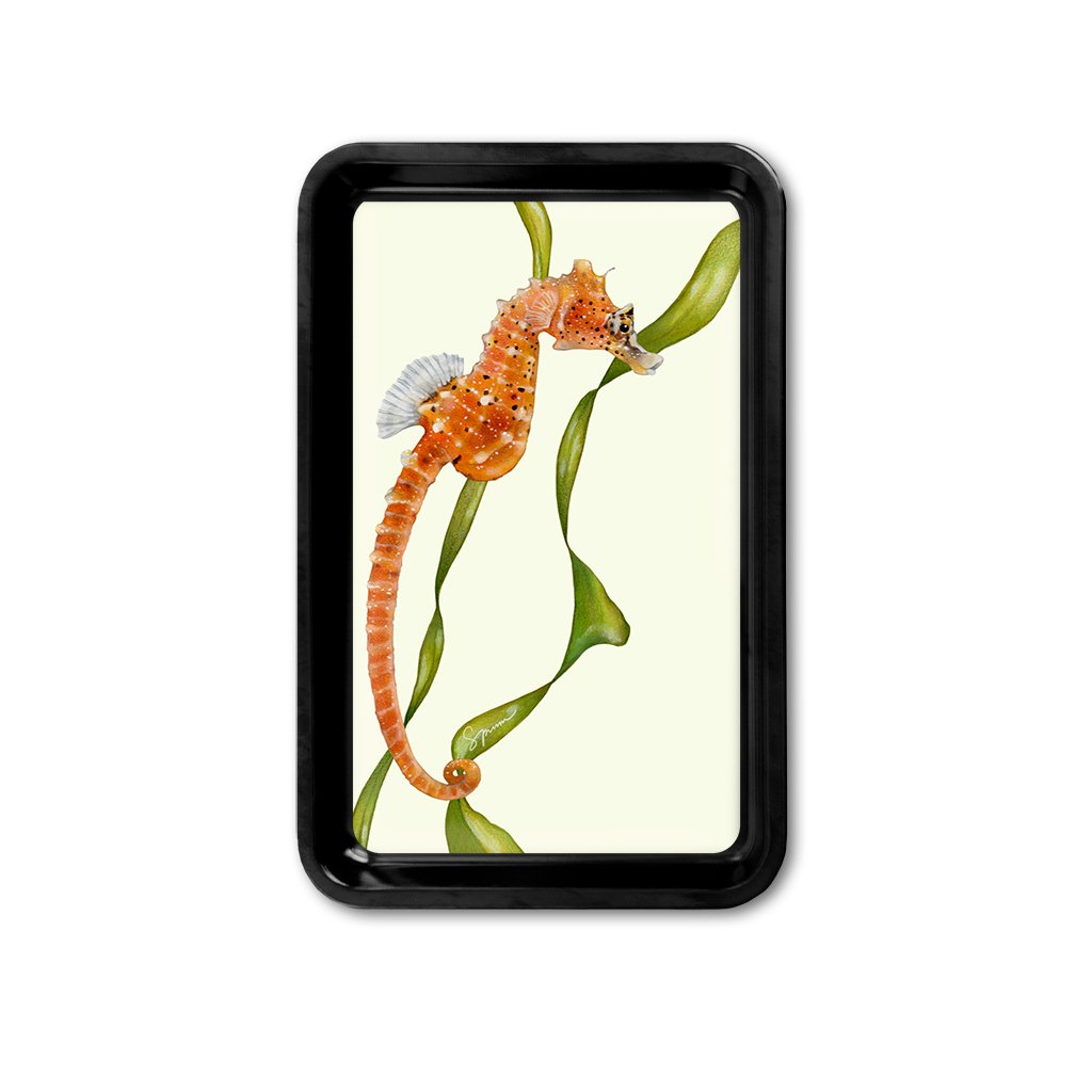 [TRYR-221] Short Snouted Seahorse Retro Tray