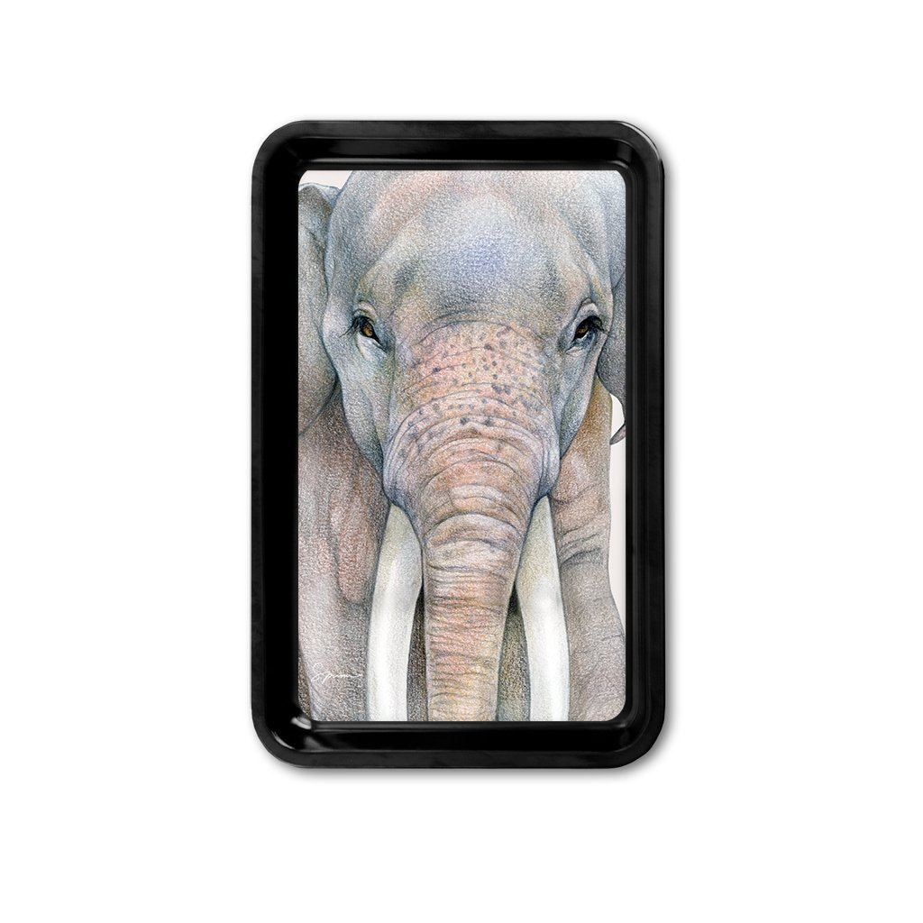 [TRYR-608] Asian Elephant Bull Retro Tray