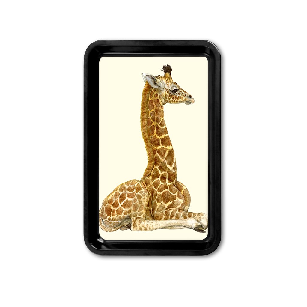 [TRYR-651] Giraffe Calf Retro Tray
